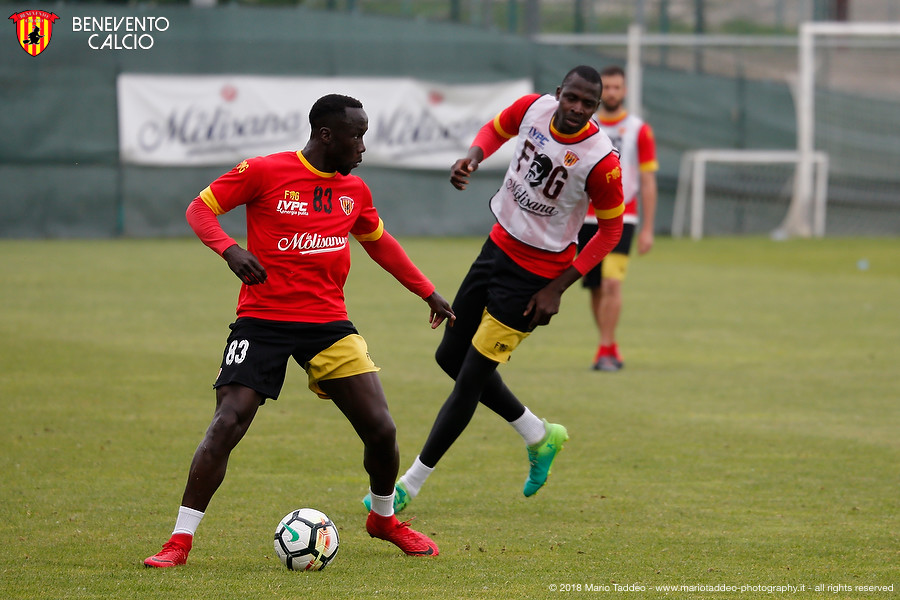 spalbenevento-report-e-programma-di-lavoro