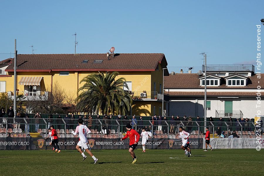 report-allenamento-giornaliero-con-la-primavera