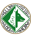 AVELLINO