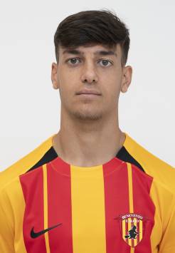 romano-raffaele
